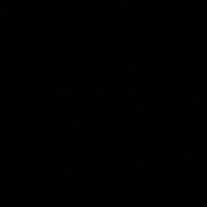 Meet your Posher, Jorge